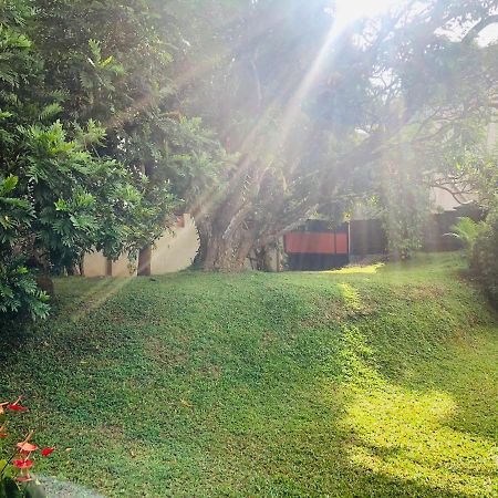 47 Alfred House - Free Pickup From Kandy City Zewnętrze zdjęcie