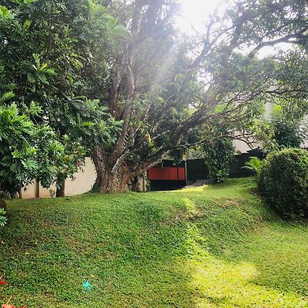 47 Alfred House - Free Pickup From Kandy City Zewnętrze zdjęcie
