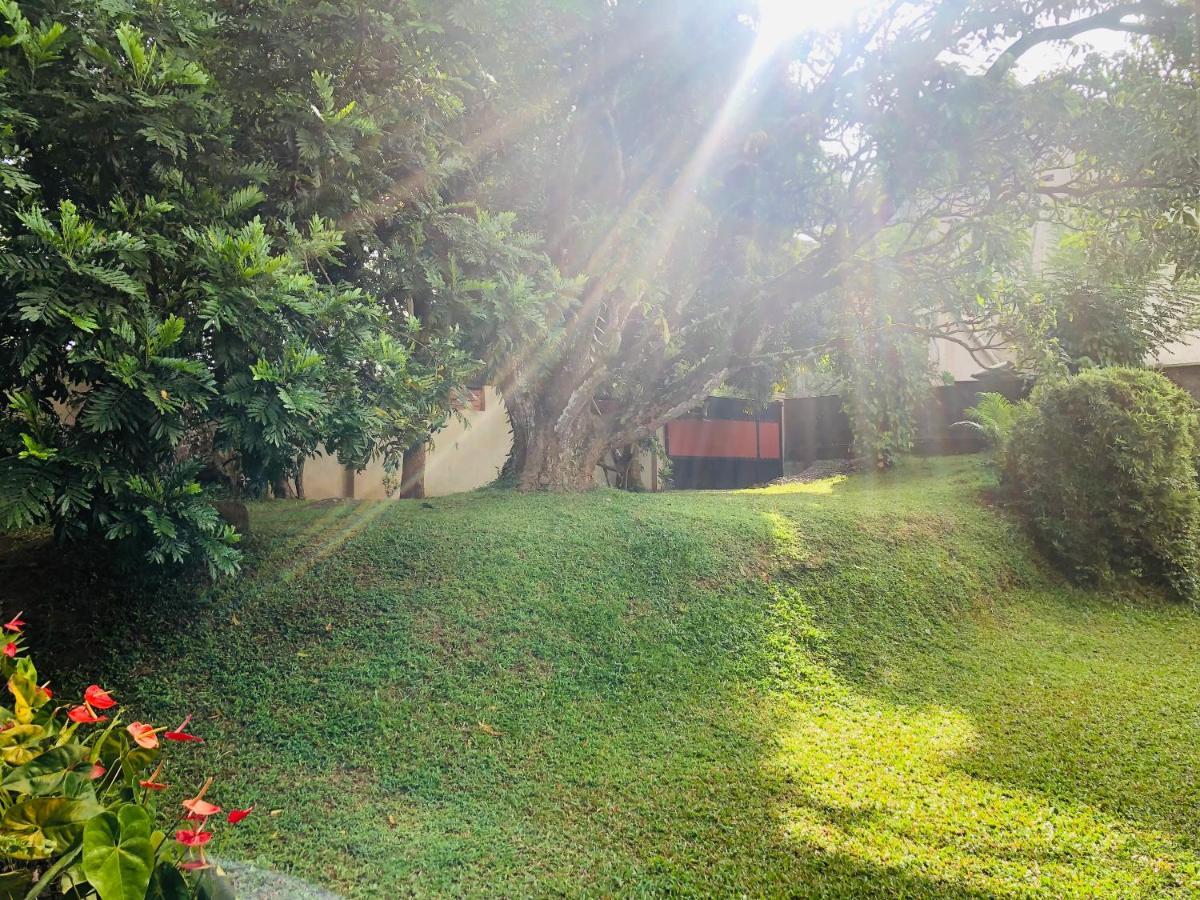 47 Alfred House - Free Pickup From Kandy City Zewnętrze zdjęcie