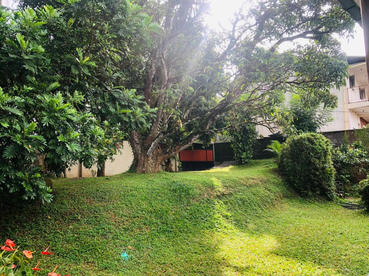 47 Alfred House - Free Pickup From Kandy City Zewnętrze zdjęcie